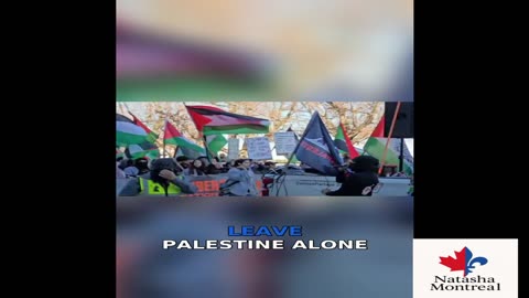 Pro Hamas Protest