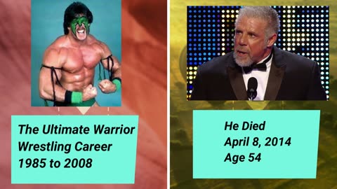Wrestlers Then And Now 2025