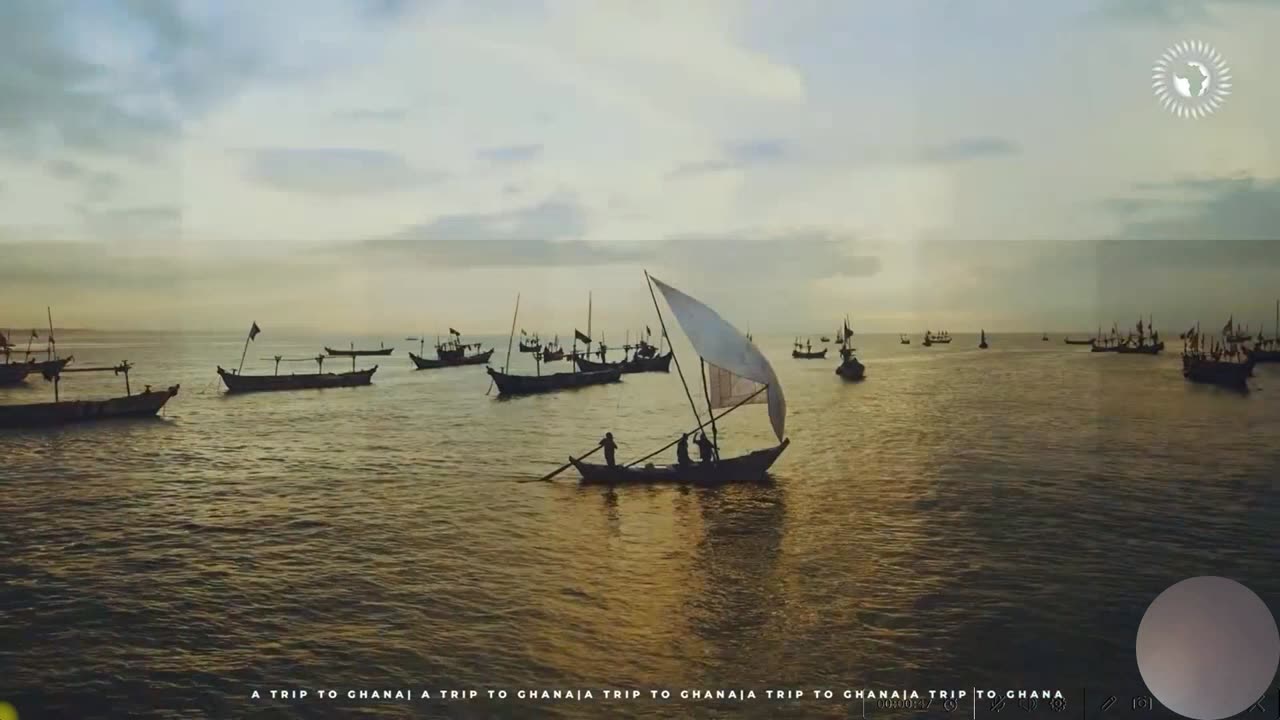 Phil Scott's Daily Reports