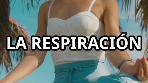 ¿Listo para activar tu red energética? Integra tus chakras y desbloquea el poder de tu ser total.