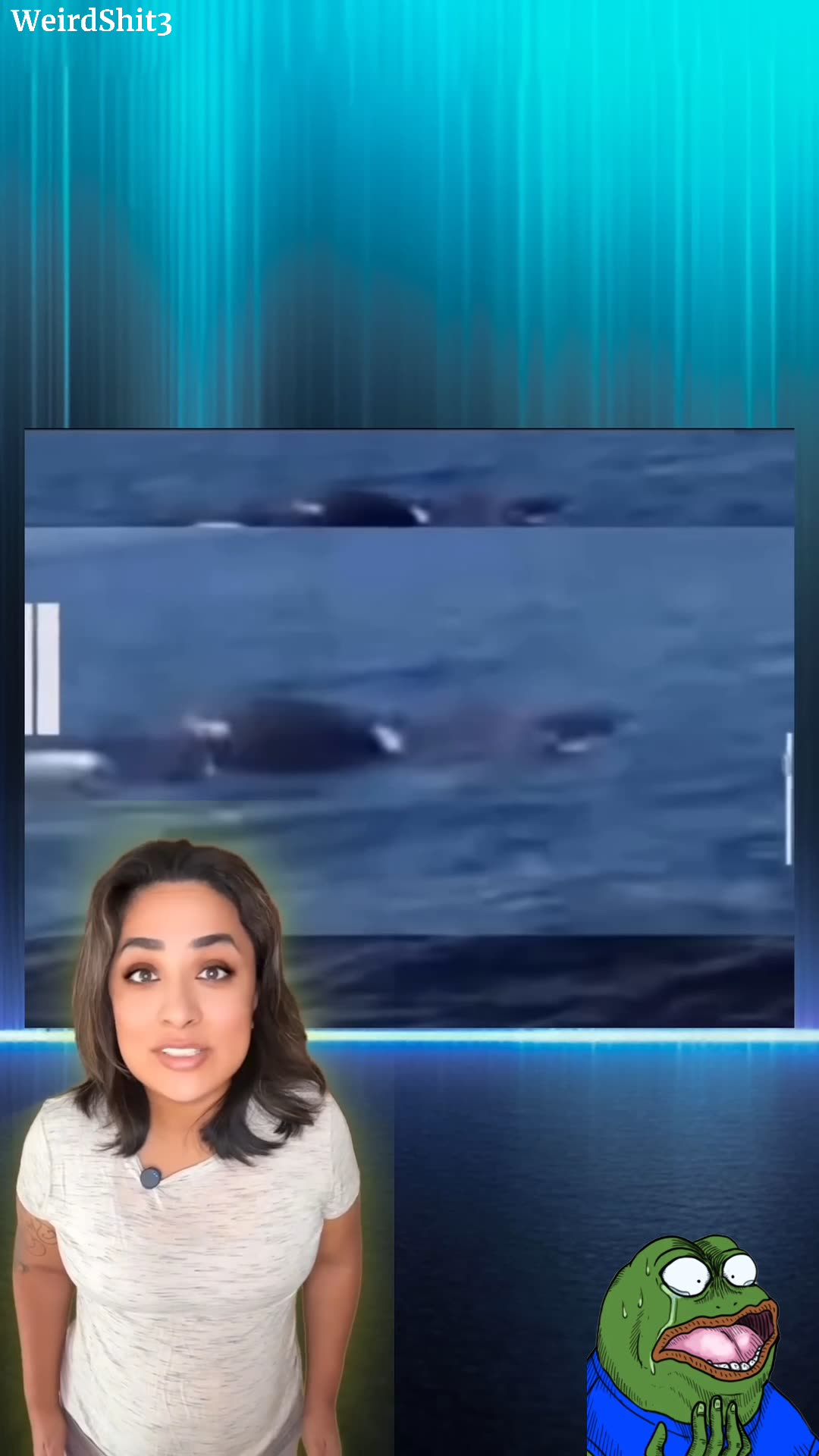 A Sea Monster in Florida