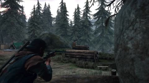 Days Gone: Copeland's Camp