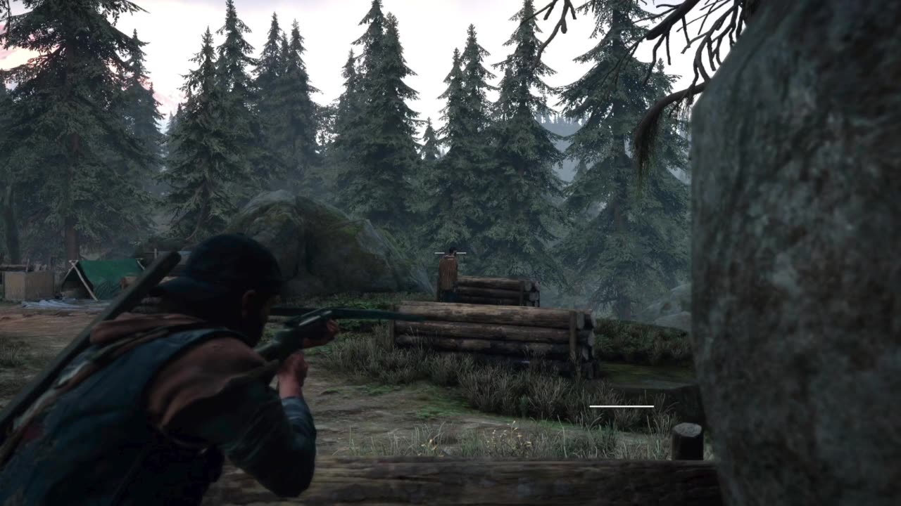 Days Gone: Copeland's Camp