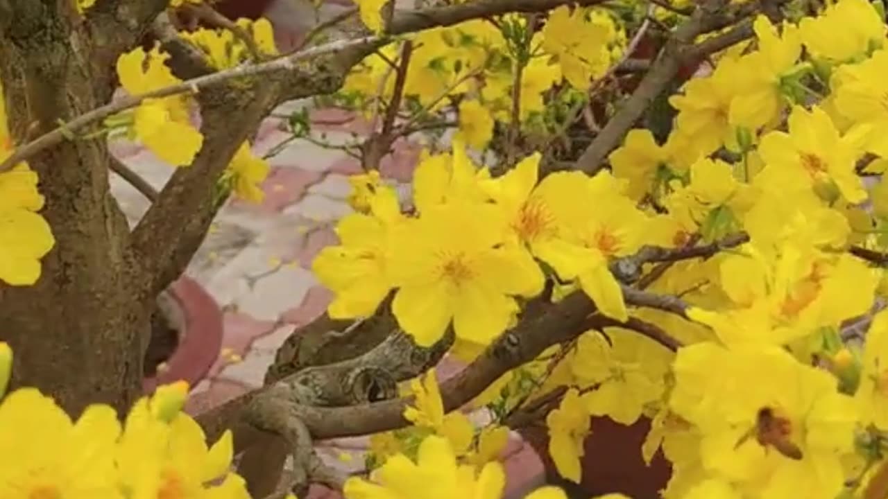 Be thankful and grateful for each breath you take.