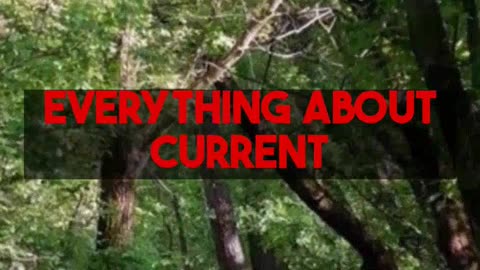 What Alternative Podcasts Reveal About Current Market Culture