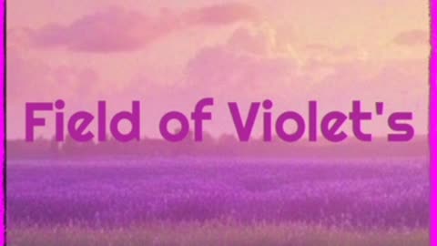 Field Of Violet's