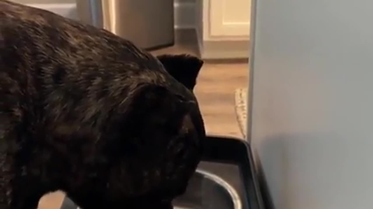 Always dry your face after drinking water