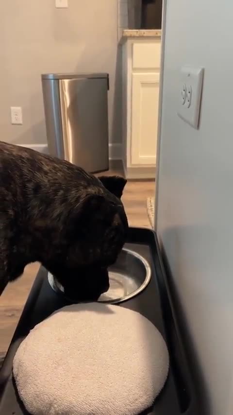 Always dry your face after drinking water