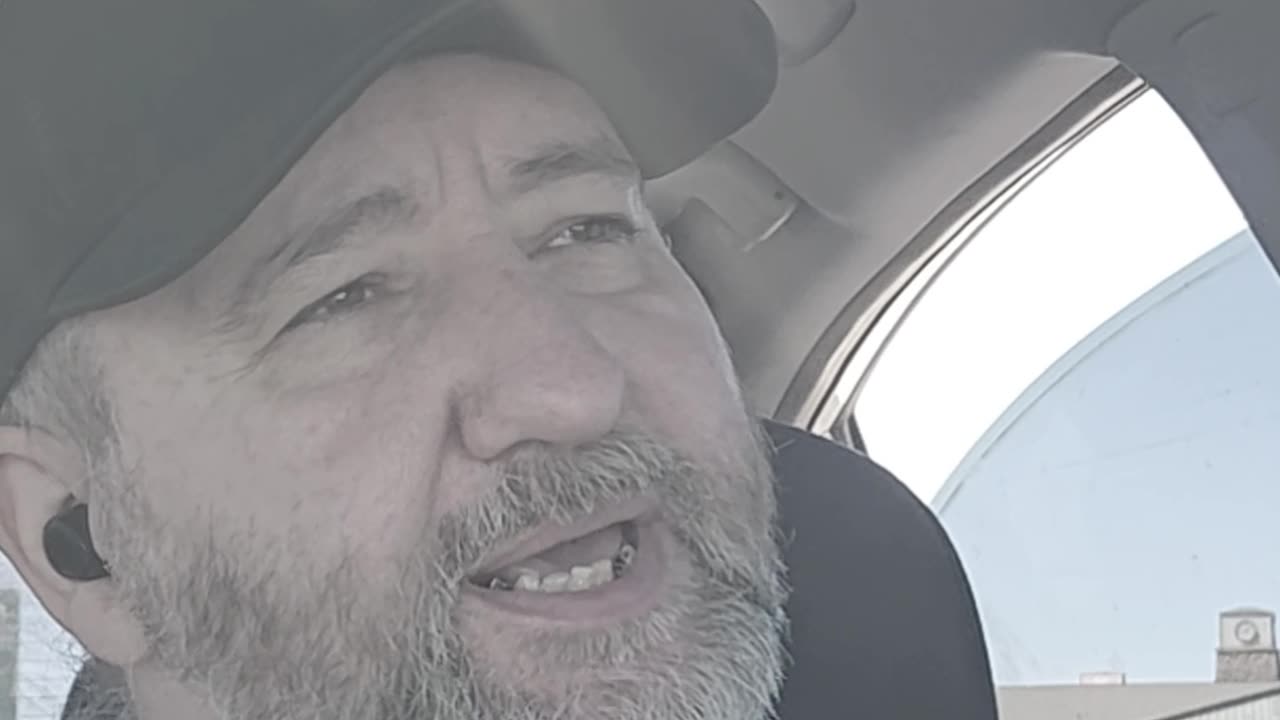 Useless Fact About Flamingos #Entertainment