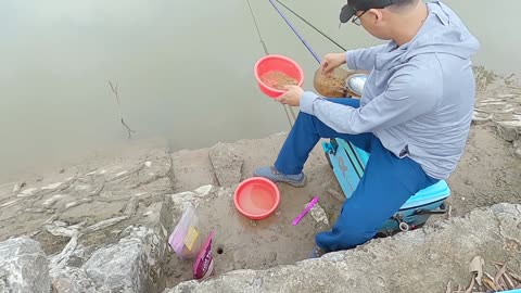 Bream Fly Casting in Lake Shallows