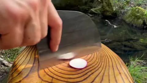 Campfire Cooking by the Creek