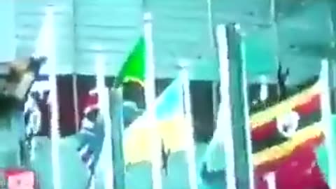 Austriacka dziennikarka ujawnia światowy spisek świńskiej grypy