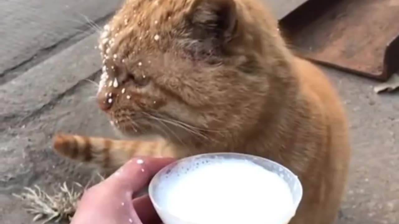 ?