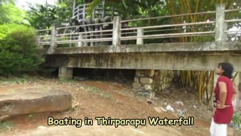 Pedal Boating at Tirparappu Waterfalls | Serene Waters & Scenic Beauty