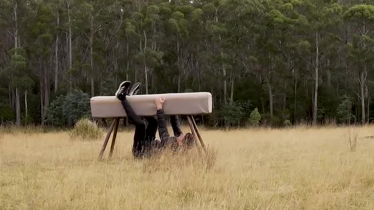 How to be animal