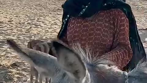 Must Watch: desert life in Pakistan #villagelife #traditional ##india #viral