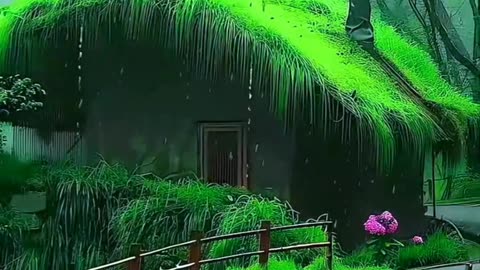 Relax rain 🌧️ and heavy thunder sounds for deep sleeping 🛌💤 #thundersounds #rainoundforsleep #rain