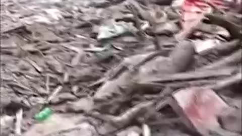 Flood kills over 50 in Indian Kashmir mountain village