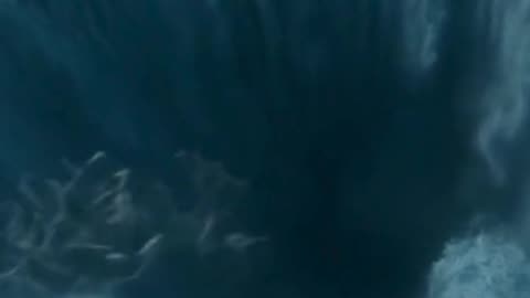 The Charybdis Maw.