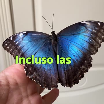 😊 111 LO QUE RESISTES, PERSISTE… PERO… 😊