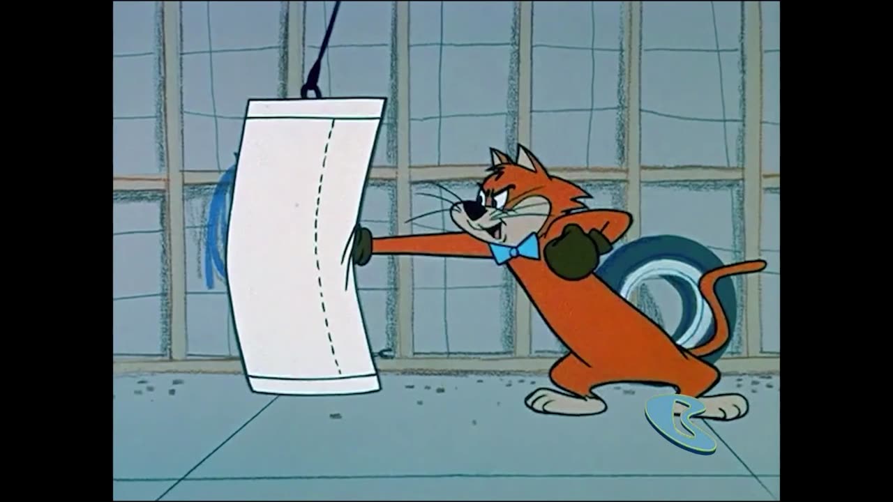 Boomerang Classic 24/7