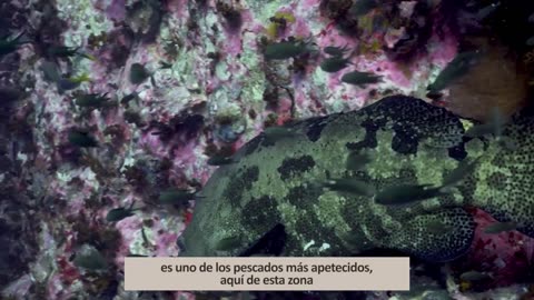 MI MAÑANA 21/10/2025