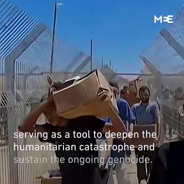 Amnesty says Israel using starvation and aid to inflict genocide in Gaza