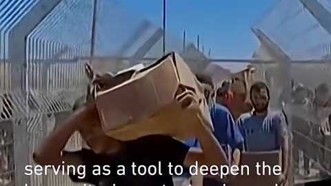 Amnesty says Israel using starvation and aid to inflict genocide in Gaza