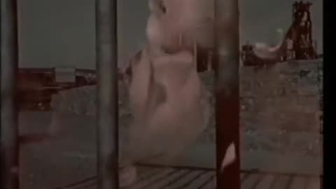 Lois Lane - This Must Be Love