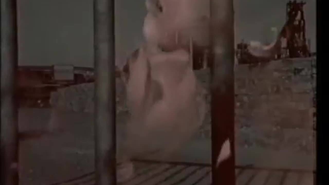 Lois Lane - This Must Be Love