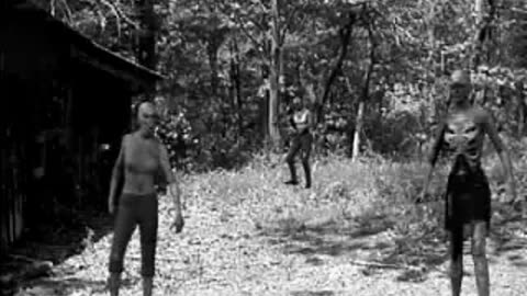 Zombie Hunter Teasers