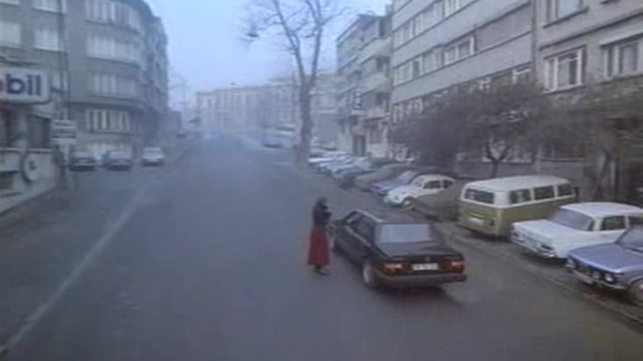 Medcezir Manzaralari