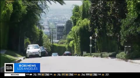 Investigation into human remains found in trunk of car at Hollywood tow yard continues