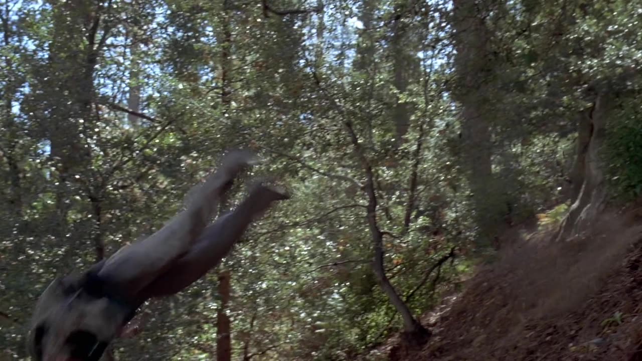 Beethoven's 2nd 1993 - Floyd Stumped