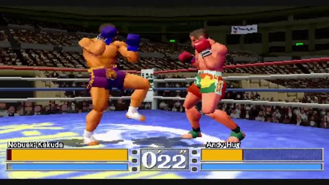 K_1_Grand_Prix_Fighting_Illusion_Shou_1_Player_Level_1_Down_3_Stamina 15