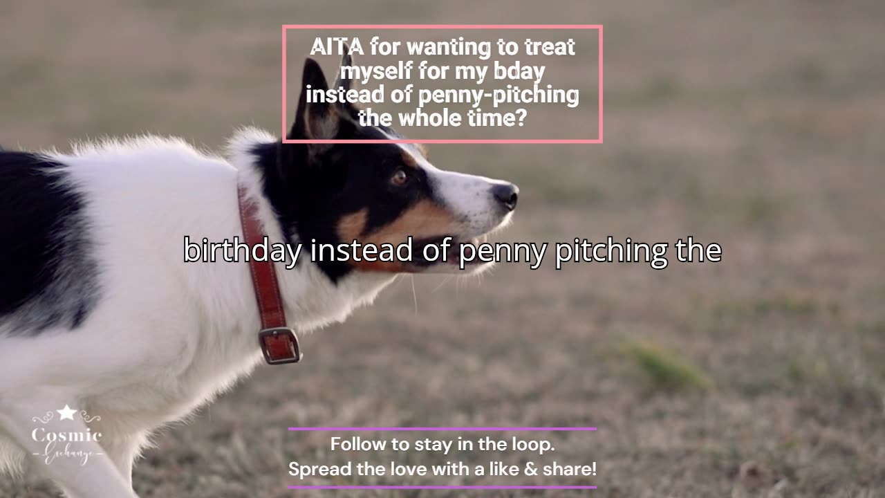 AITA for wanting to treat myself for my bday instead of penny-pitching the whole time?