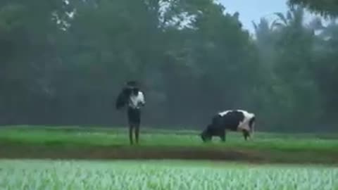 Indian mansoon
