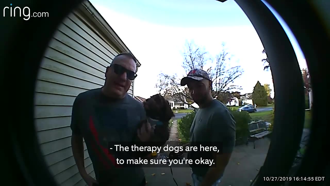 Surprised visit from doggo