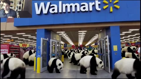 Outtake #1,209 Of Over 5 Panda Bears Roam Around A Walmart Supercenter Fake Funny Parody Video