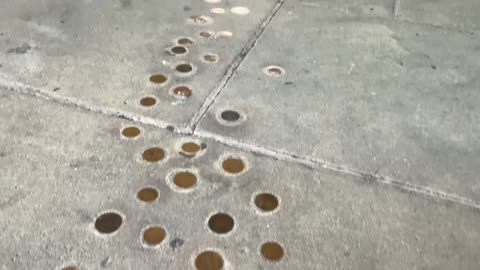 Follow the money