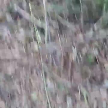 Footage from Russian Soldiers Along the Right Bank Oskil River