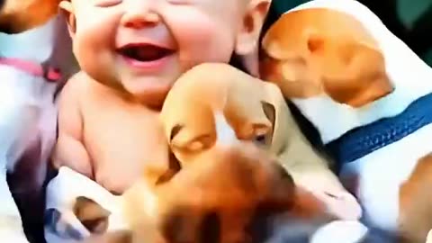 Lovely Babes with animals