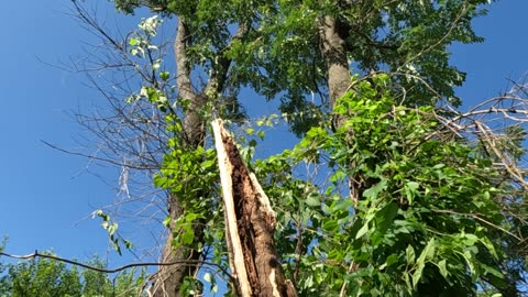 These 10 minute storms are cherry pickin'