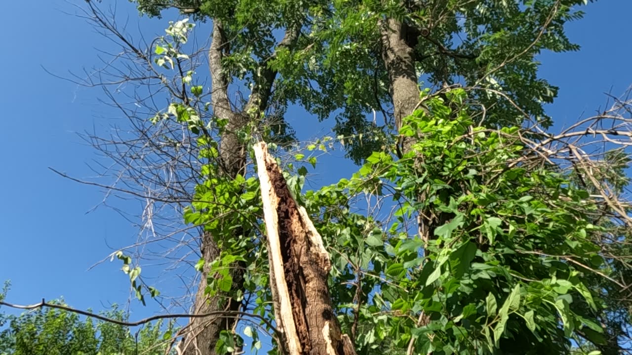 These 10 minute storms are cherry pickin'