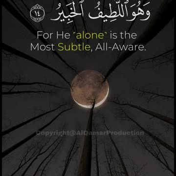 Surah Al-Mulk | Who Knows You Better Than Your Creator? (Ayah 14–17)