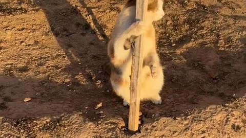 Is she doing a pole dance?? Hahahah