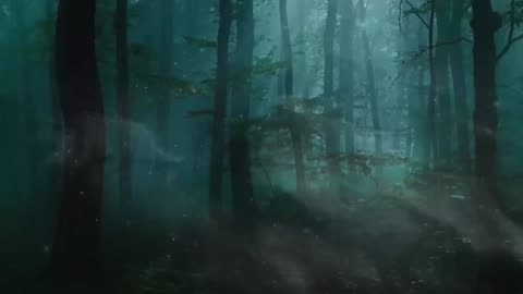 The red dirt Cryptid investigations