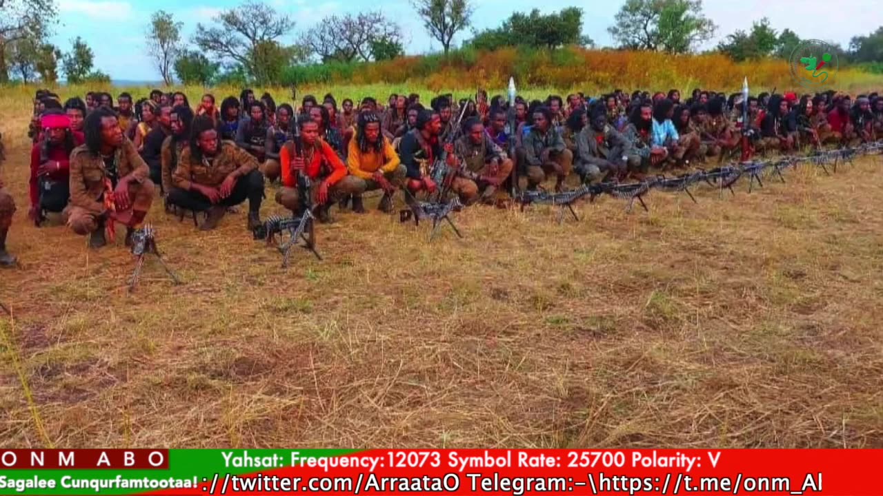 Gabaasa Tarkaanfii ONM-ABO Adoolessa 28-2025 itti dhiyaadhaa!