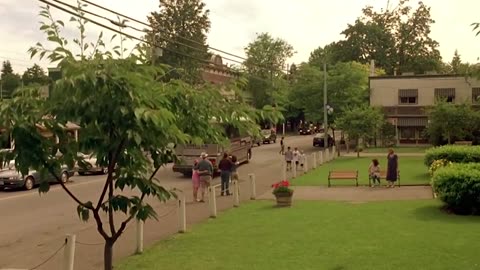 "A Dog, a Bat, and a Park That Needs a Miracle!