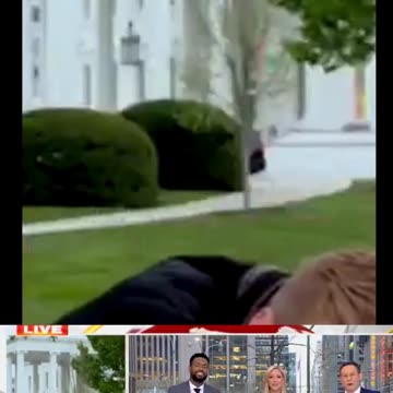 A bird lands on Doocy’s head live on TV 😂